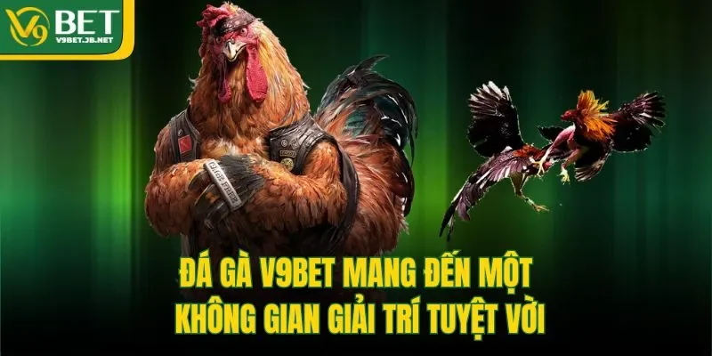 Đá gà V9BET mang đến một không gian giải trí tuyệt vời