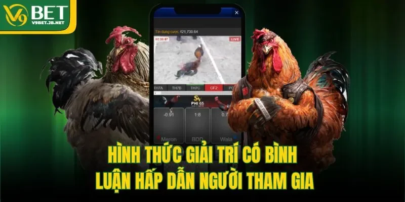 Hình thức giải trí có bình luận hấp dẫn người tham gia
