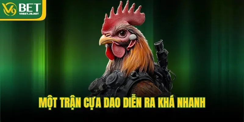 Một trận cựa dao diễn ra khá nhanh