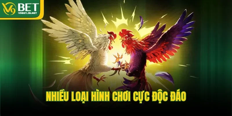 Nhiều loại hình chơi cực độc đáo