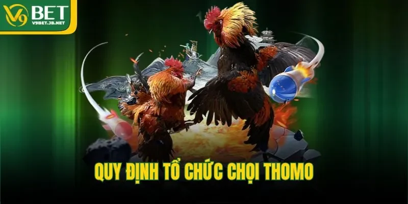 Quy định tổ chức chọi Thomo